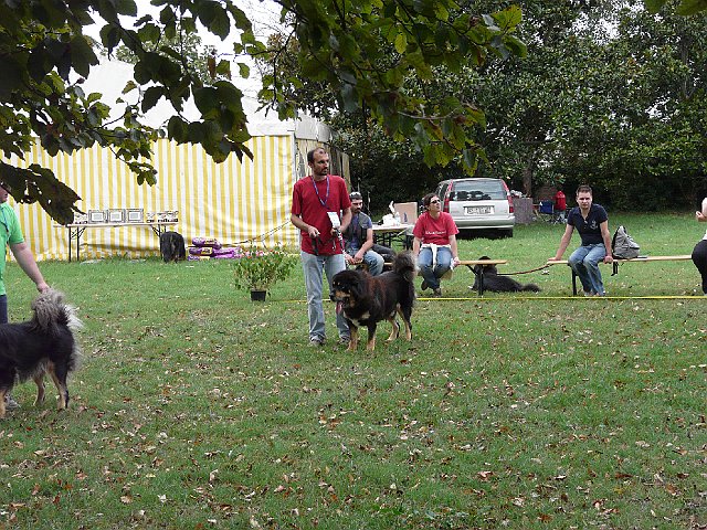 img 025.jpg